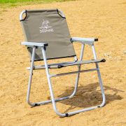 Кресло-шезлонг «Dolphins» AKS-13 цвет в ассортименте